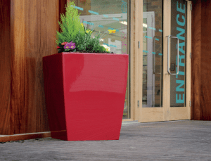 Simply Plants For Stunning affordable office plants & Plant display