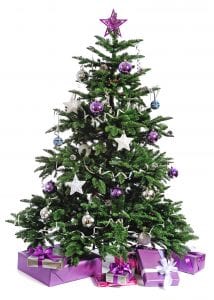 Christmas-tree-rental
