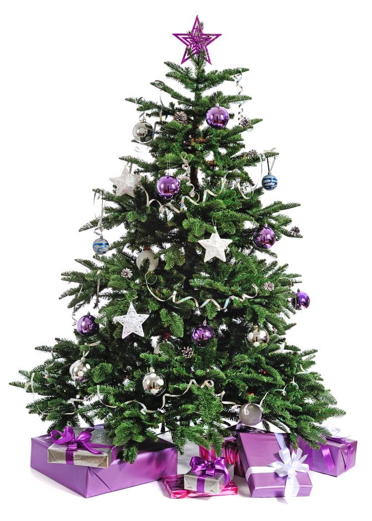 Christmas-tree-rental