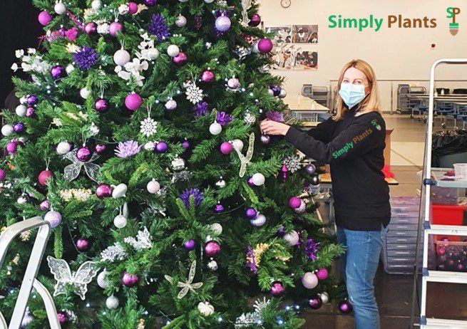 Commercial Christmas trees