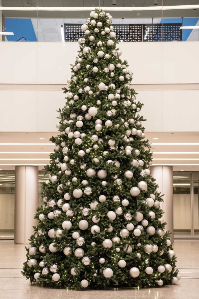 Commercial Christmas tree Hire