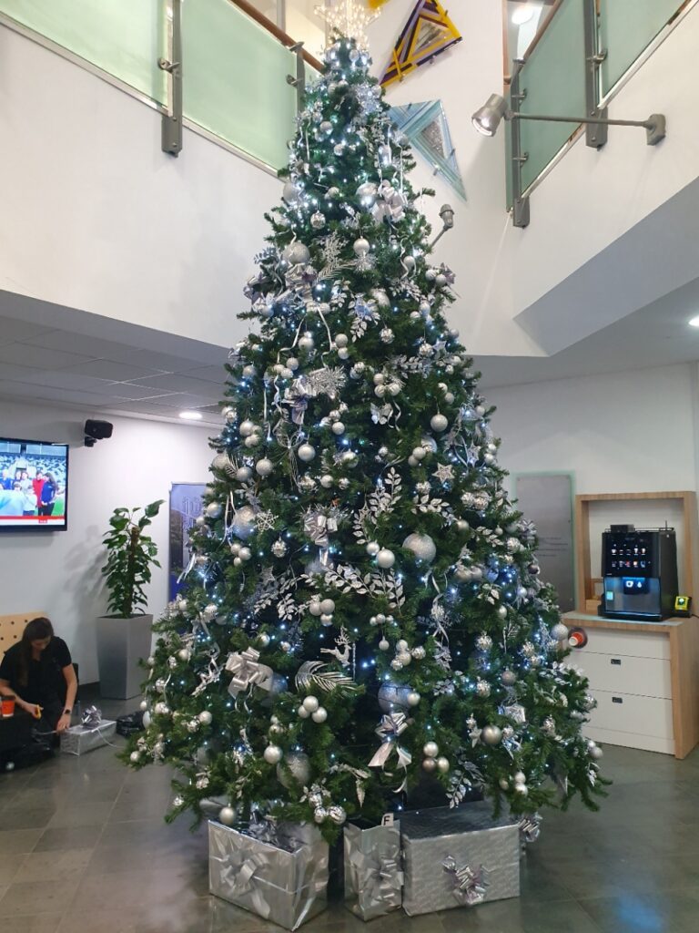 Christmas Tree Hire
