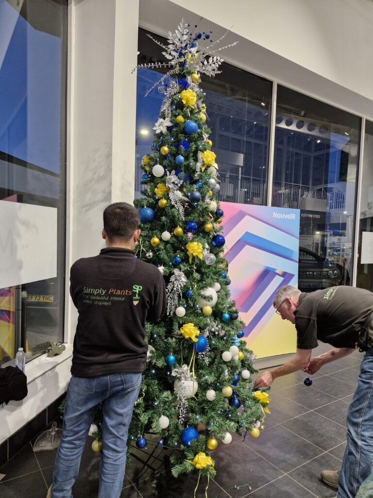 Christmas tree rental